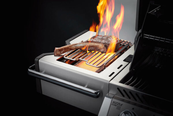 Napoleon Prestige PRO™ 500 RSIB