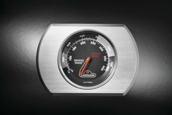 Napoleon Rogue® PRO-S 425 RSIB